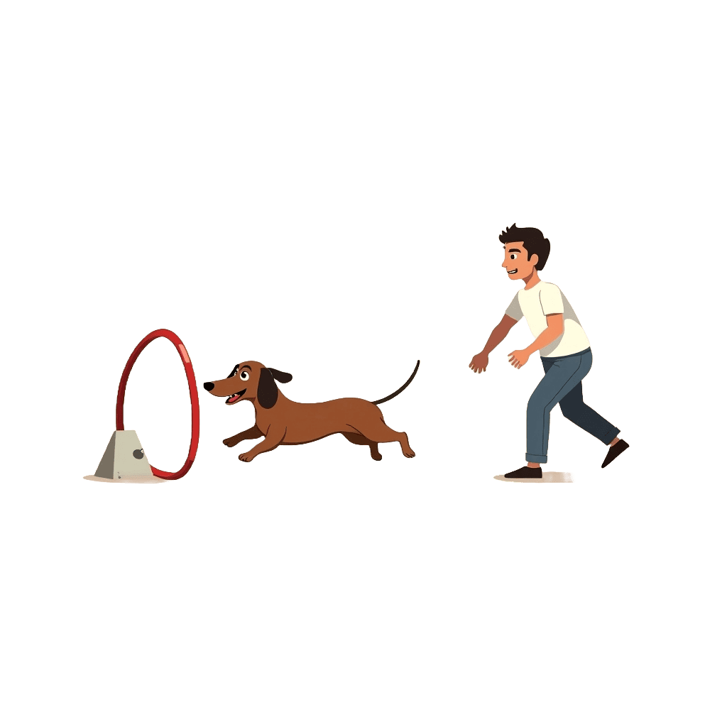 Entrenamiento basico del perro salchicha